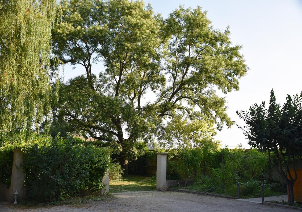 La Maison Des Invites Pernes-les-Fontaines Exteriör bild